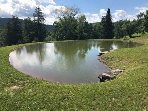 Hinkley Excavation - ponds - Roxbury, NY