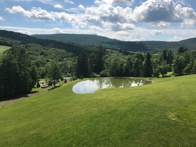 Hinkley Exacavation - pond and landscaping - Roxbury, NY