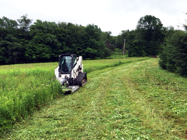 Hinkley Excavation - land clearing - Roxbury, NY